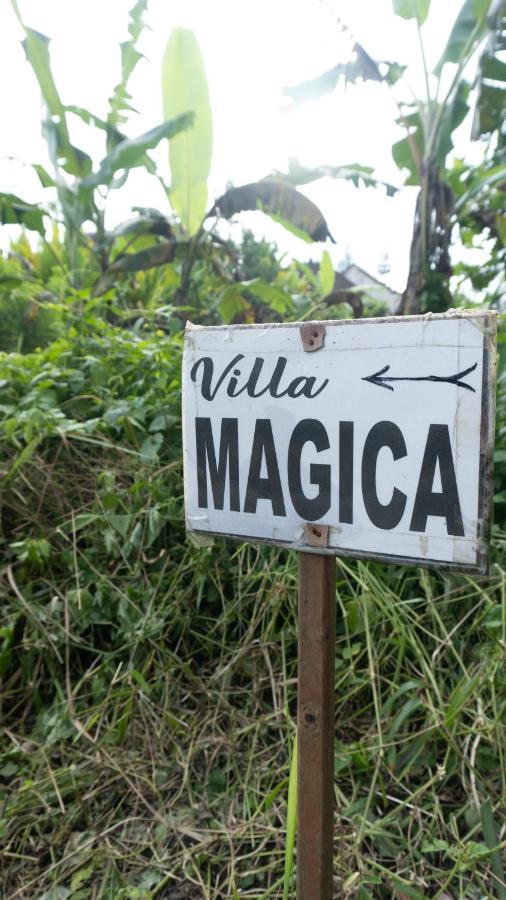 Villa Magica Ubud Kültér fotó