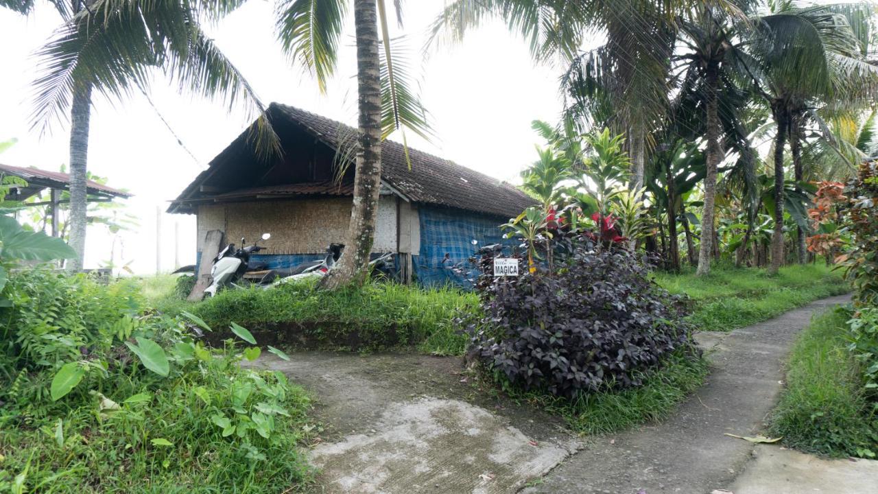 Villa Magica Ubud Kültér fotó