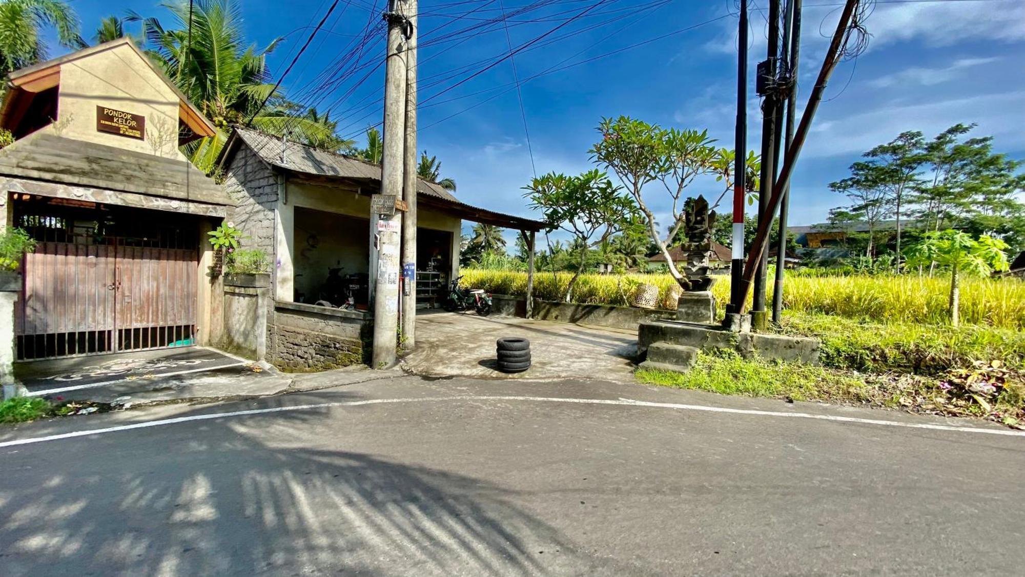 Villa Magica Ubud Kültér fotó