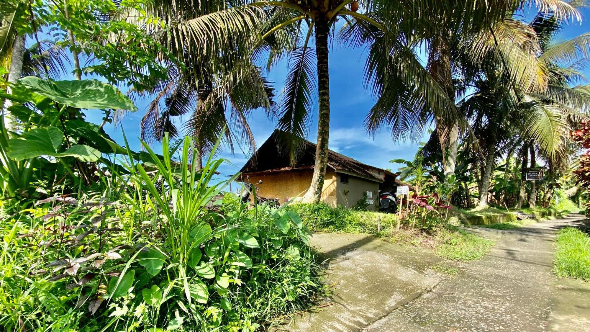 Villa Magica Ubud Kültér fotó