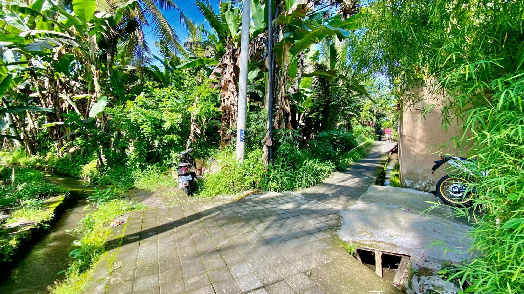 Villa Magica Ubud Kültér fotó