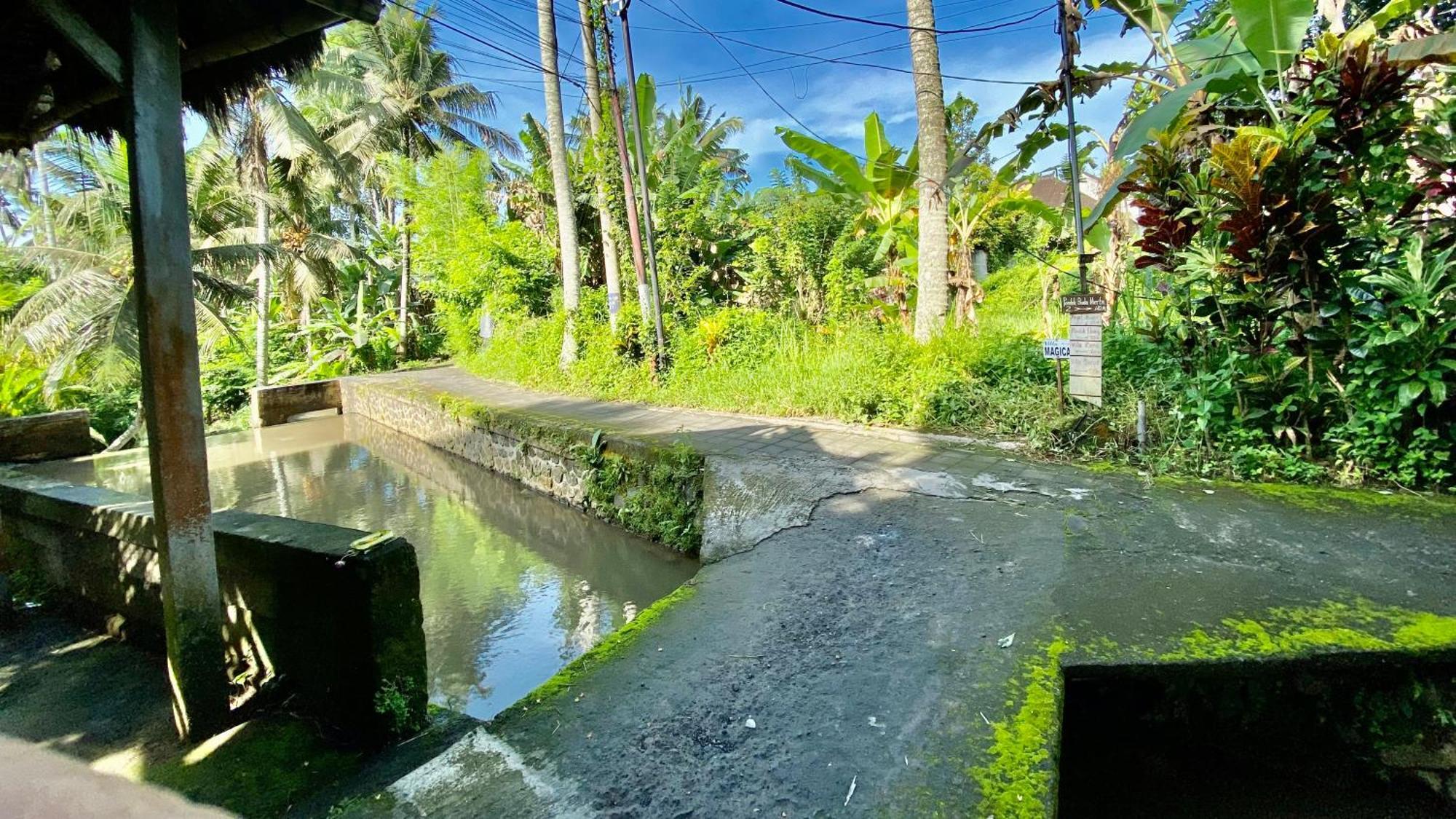 Villa Magica Ubud Kültér fotó